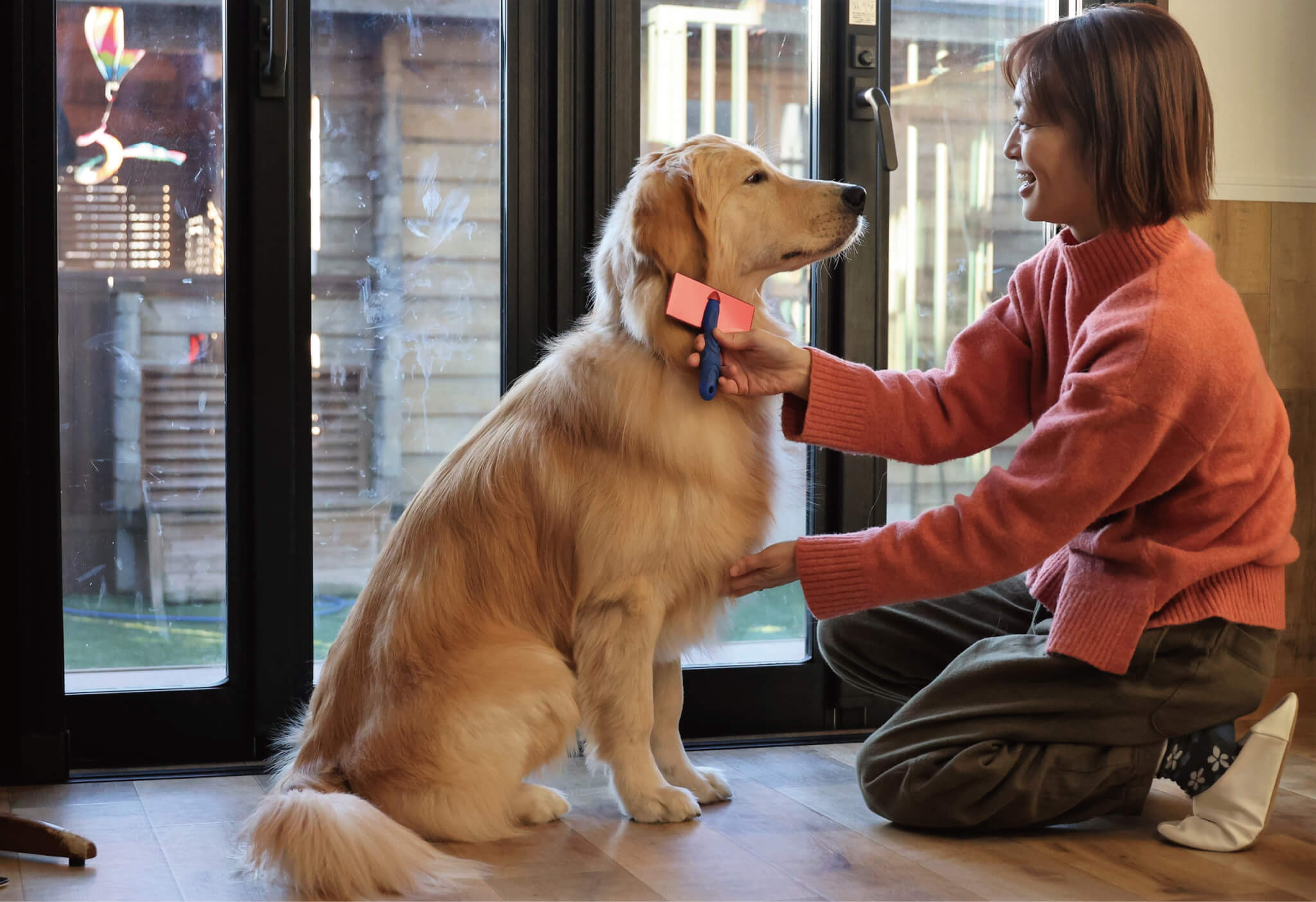 ゴールデンレトリーバー,取材