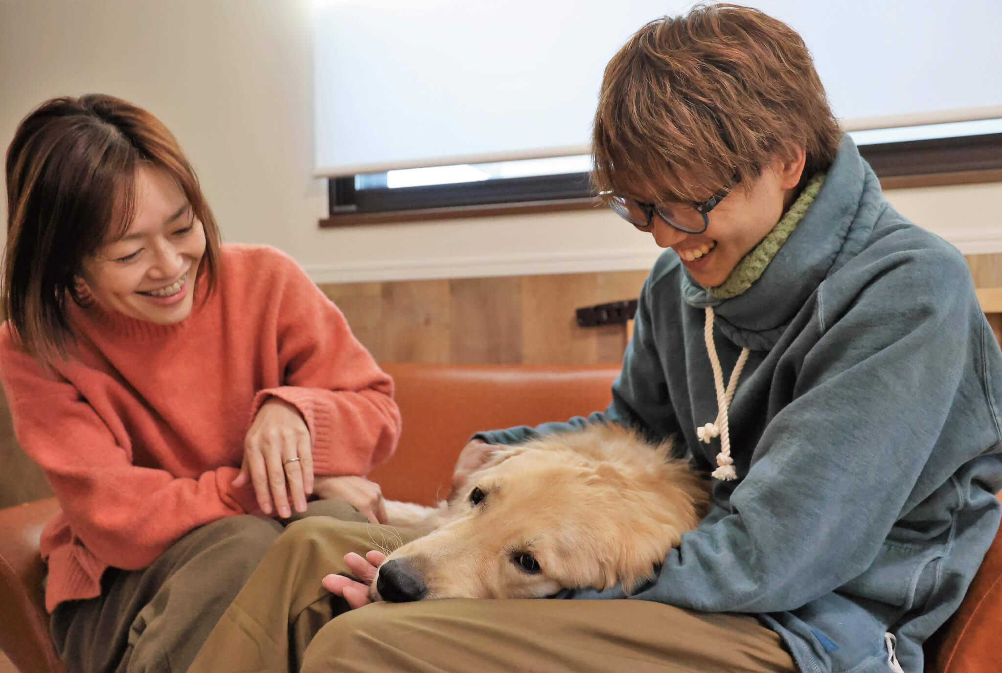 ゴールデンレトリーバー,取材