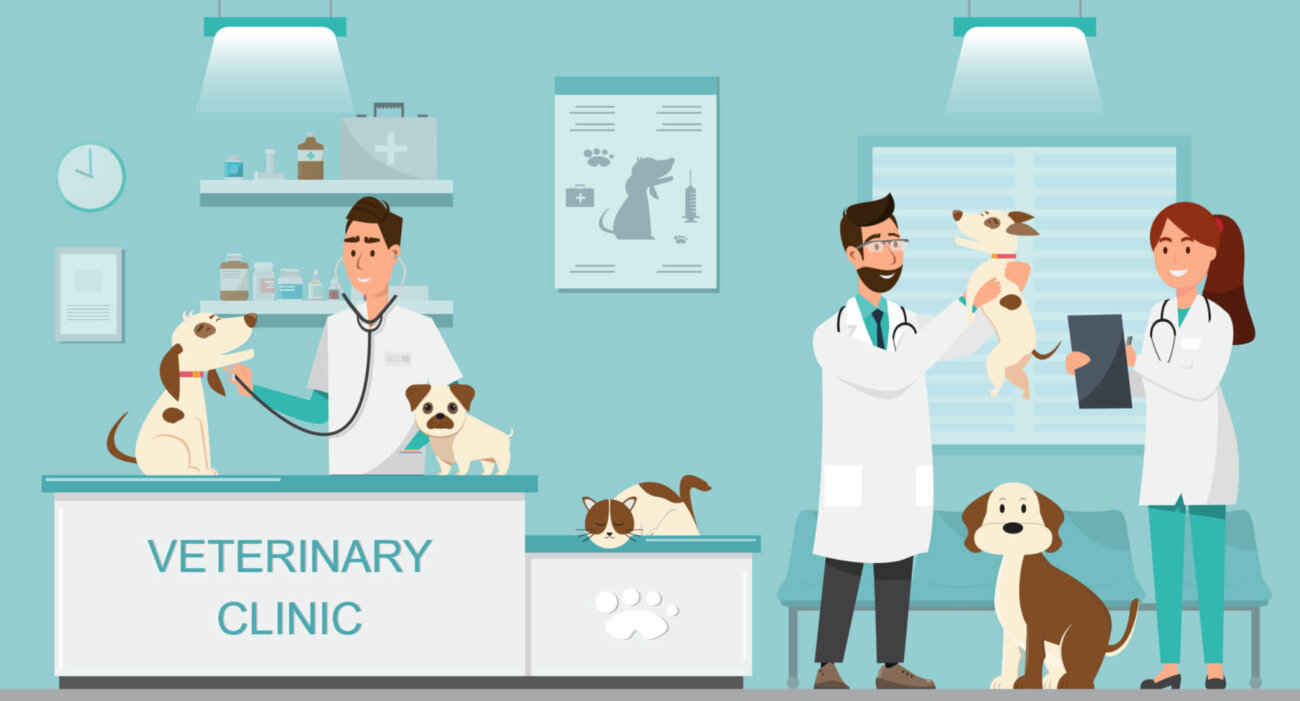 レトリーバー,オーラルケア,Kブラッシュ