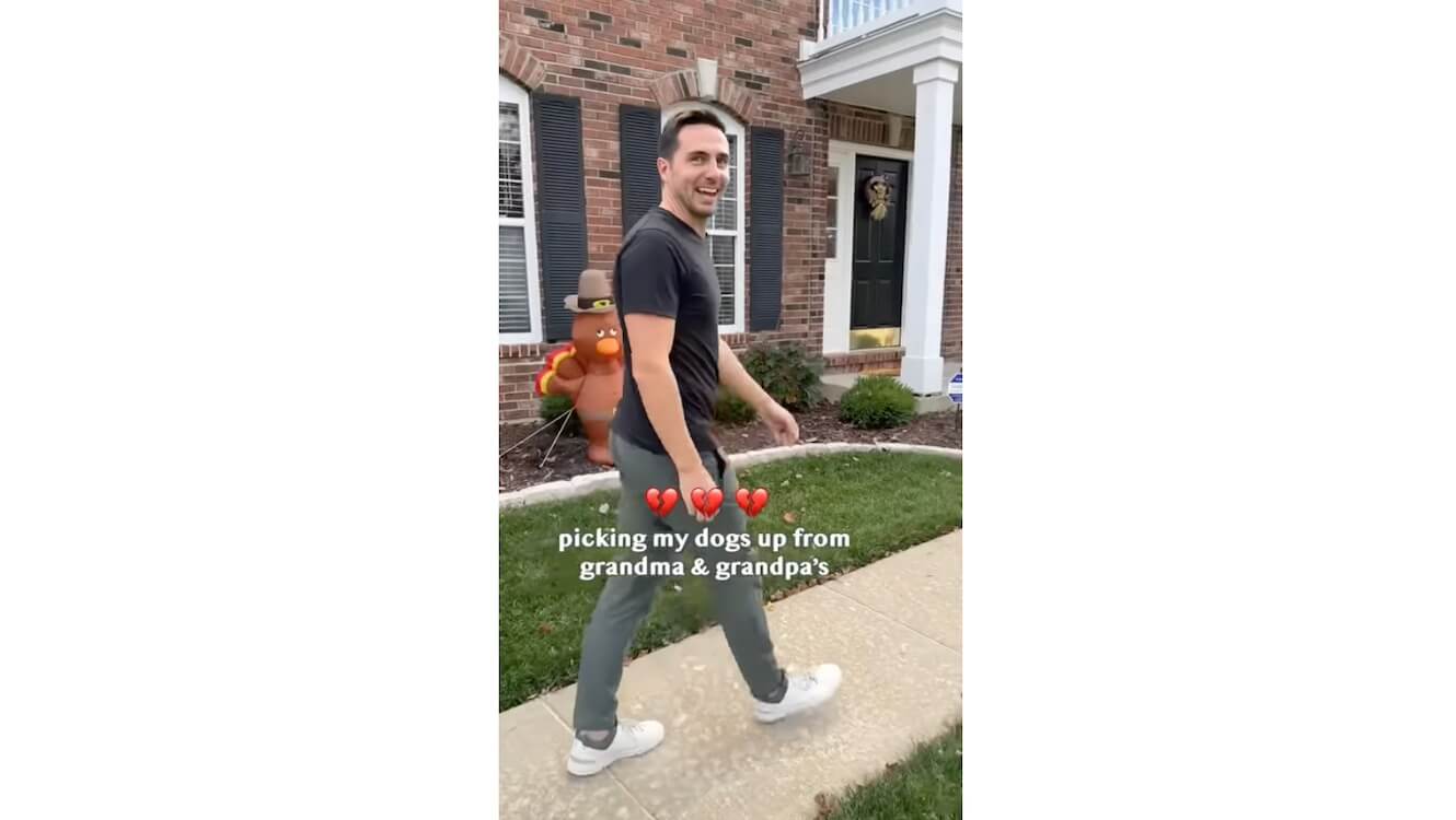 ゴールデンレトリーバー,動画