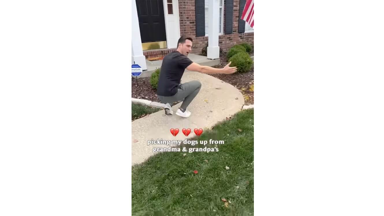 ゴールデンレトリーバー,動画