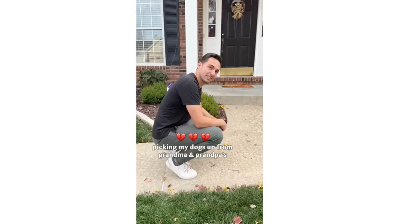 ゴールデンレトリーバー,動画