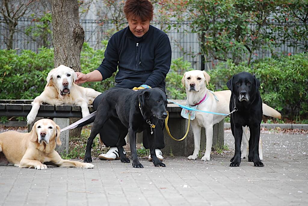 ゴールデン・レトリーバーと飼い主