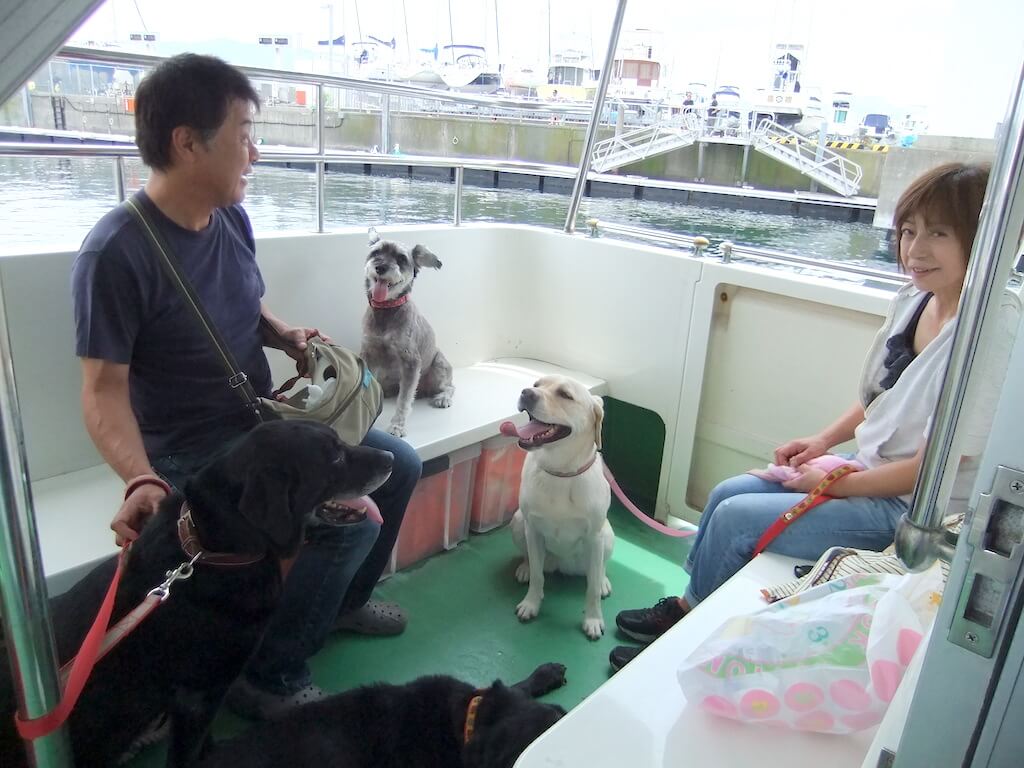 レトリーバーとオーナー