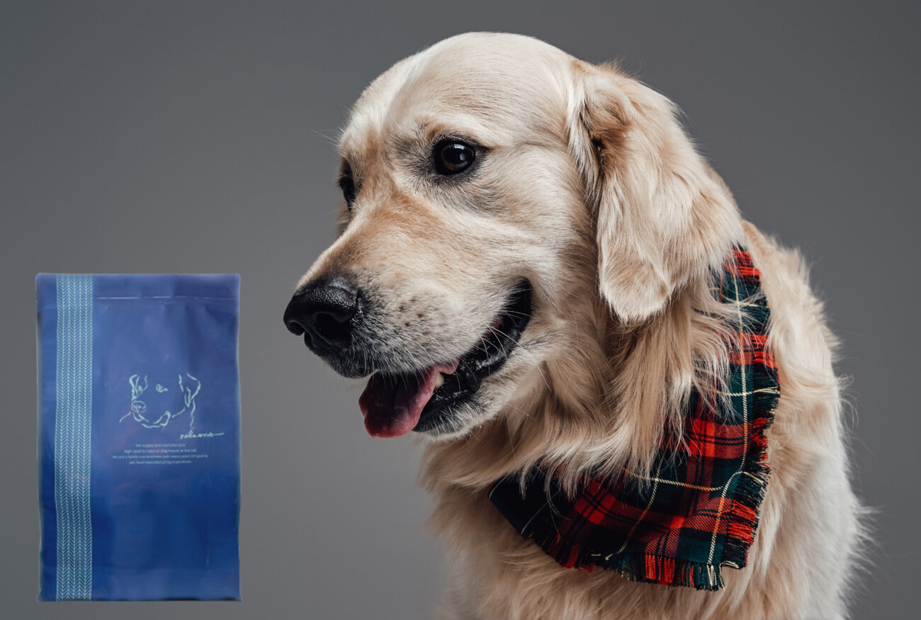 レトリーバー,レトリバー,ネルソンズドッグフード