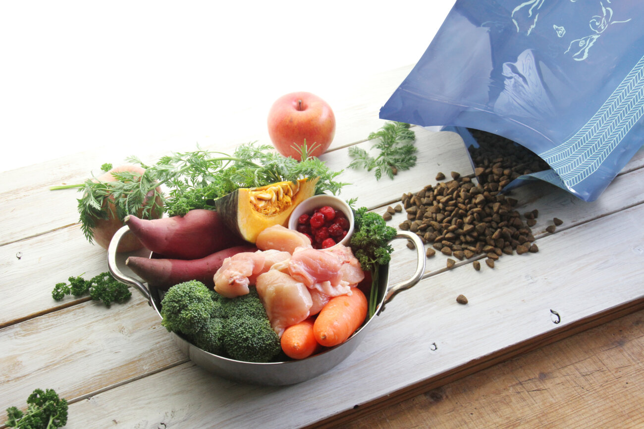 レトリーバー,レトリバー,ネルソンズドッグフード