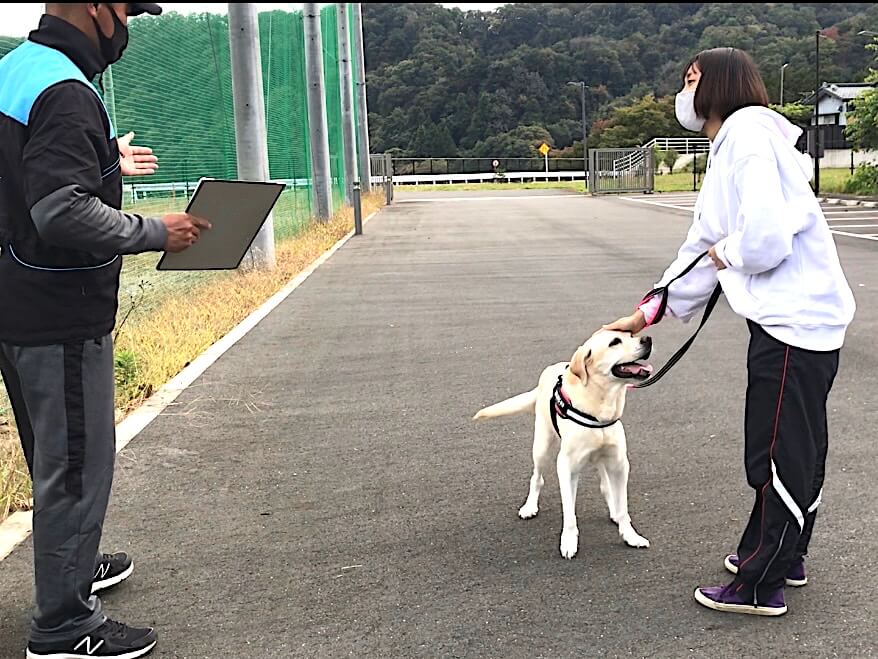 ラブラドール・レトリーバー