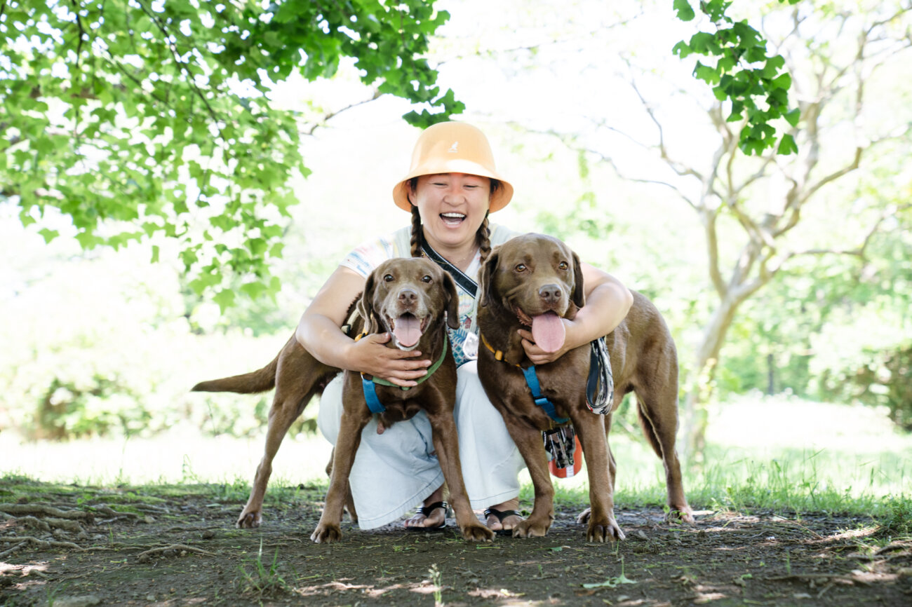 取材】これはもう運命！とんとん拍子に決まったチョコラブ繁殖引退犬と