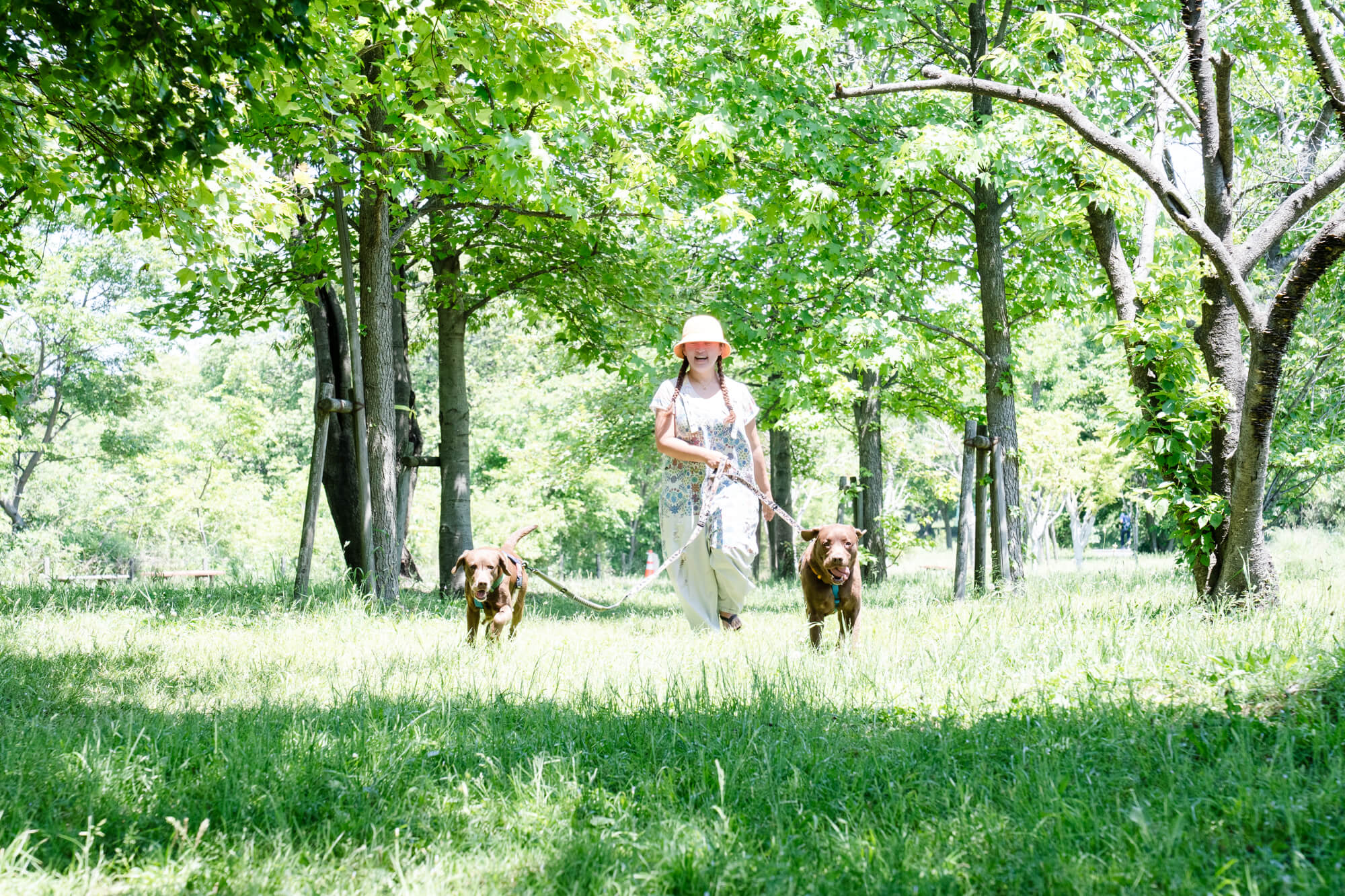 レトリーバー,取材