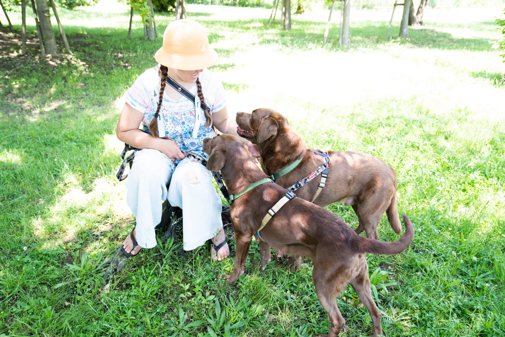 レトリーバー,取材