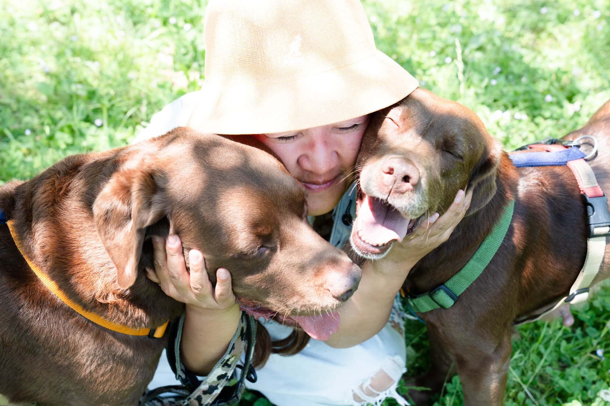 レトリーバー,取材