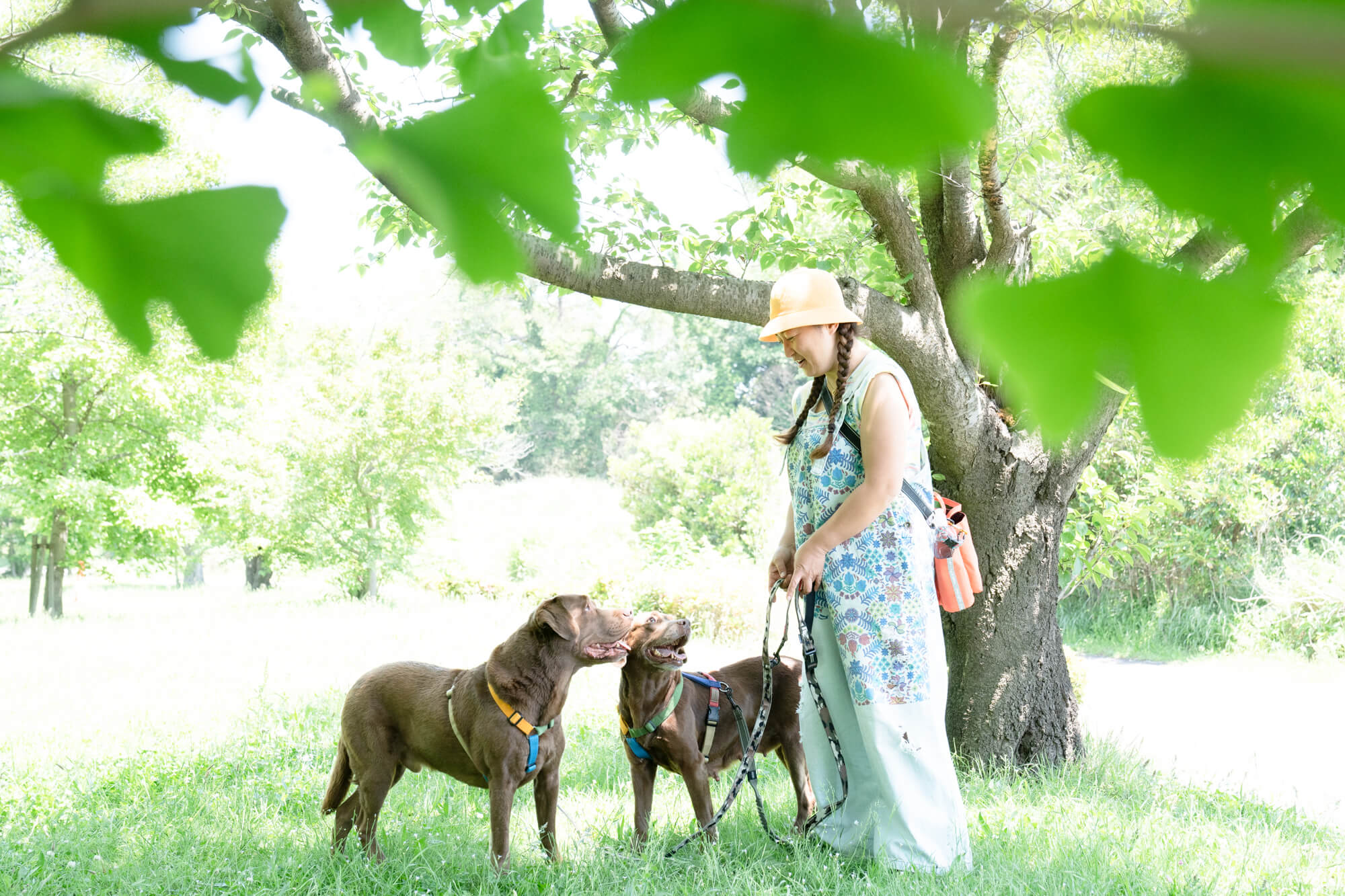 レトリーバー,取材