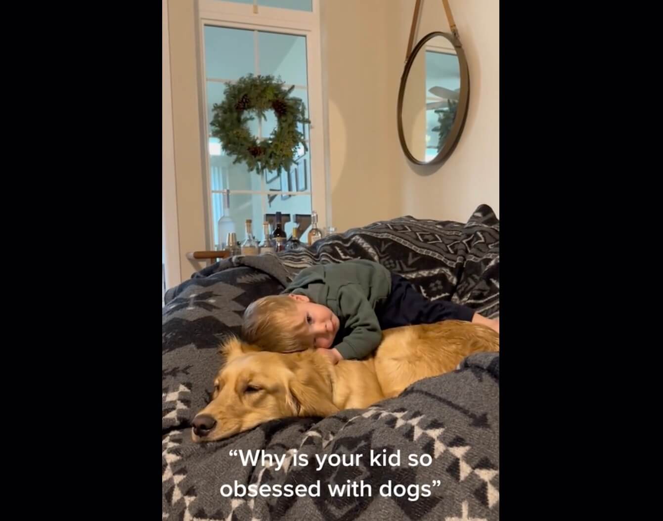 ゴールデンレトリーバー,動画