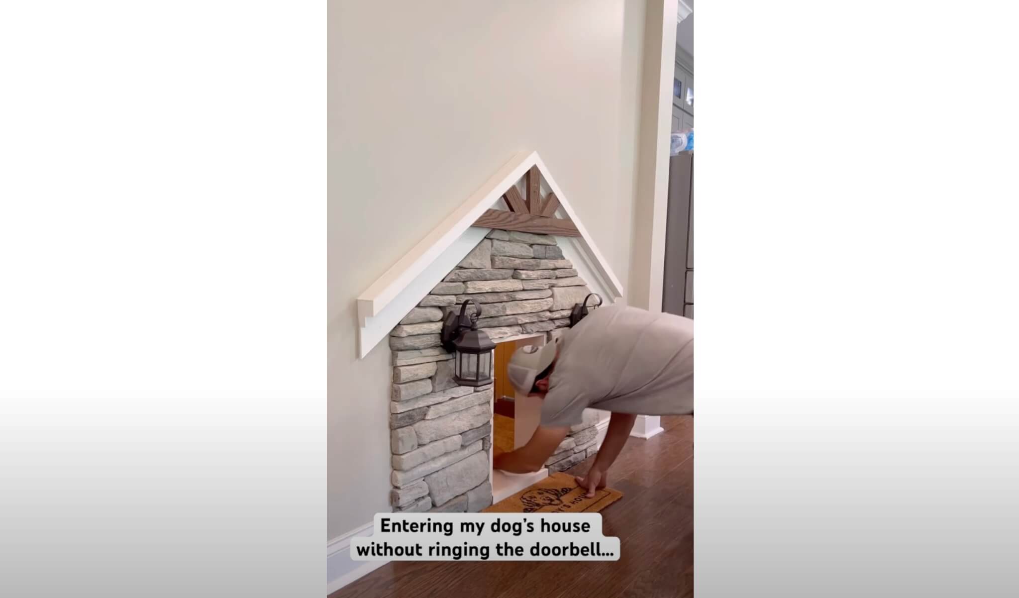 ゴールデンレトリーバー,動画