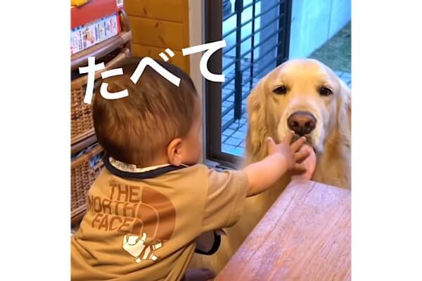 どうじょ」「ありがと」赤ちゃんがくれる空気を毎回食べてあげる優しい