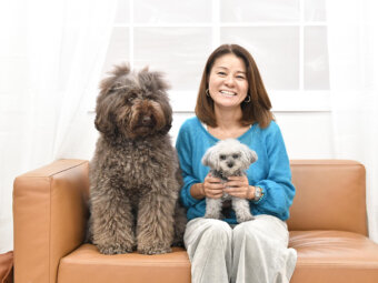 レトリーバー,コミュニケーション