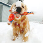 ゴールデンレトリーバー,動画