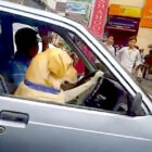 ラブラドールレトリーバー,動画