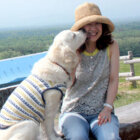 ゴールデンレトリーバー,セツサチアキ