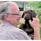 ラブラドールレトリーバー,動画