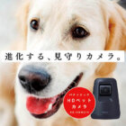 レトリーバー,パナソニック,見守りカメラ
