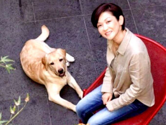 ラブラドールレトリーバー,取材