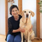 レトリーバー,取材