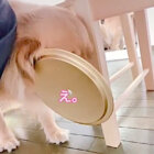 ゴールデンレトリーバー,動画