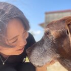 ラブラドールと家族