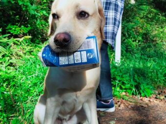 ラブラドールレトリーバー,取材